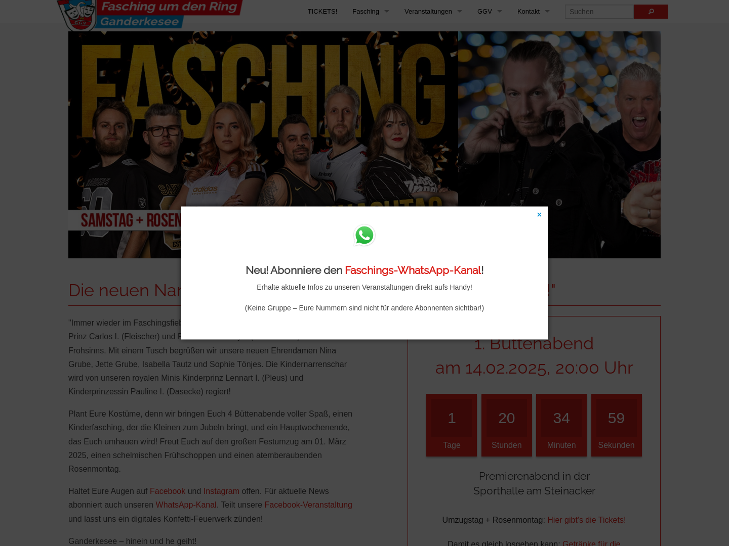 Fasching um den Ring