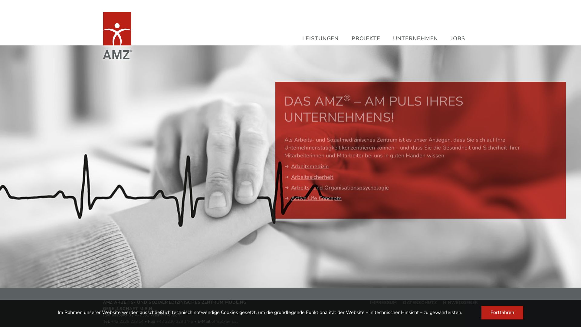 AMZ - Arbeits- und sozialmedizinisches Zentrum Mödling Gesellschaft m.b.H.