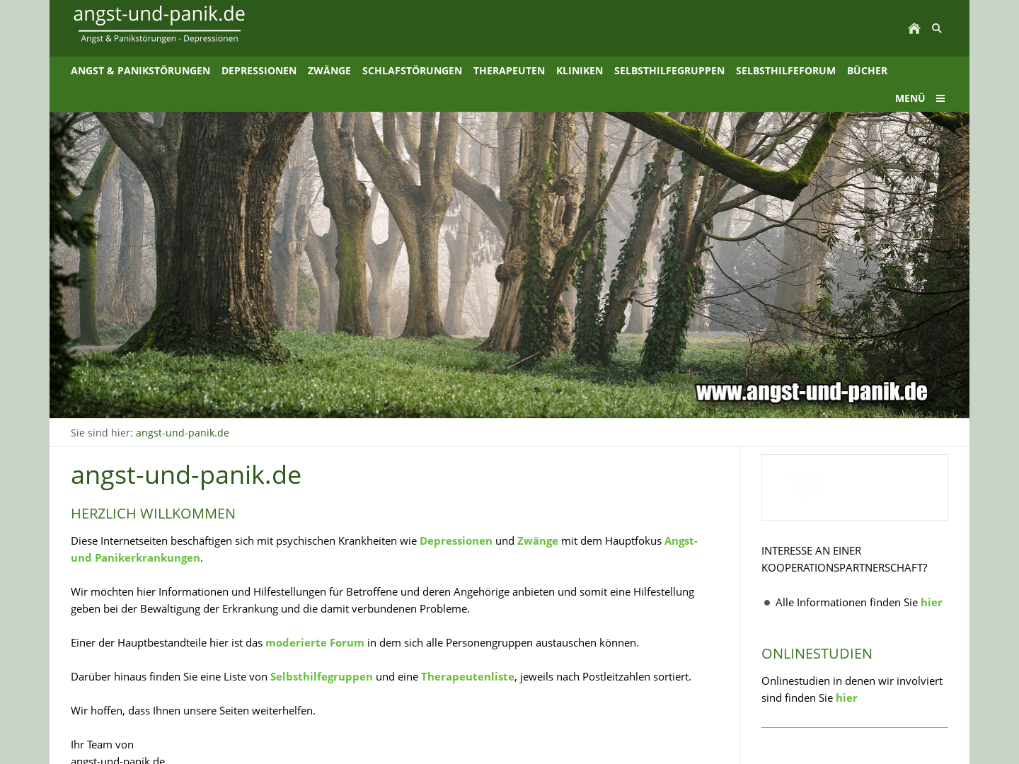 Angst und Panik