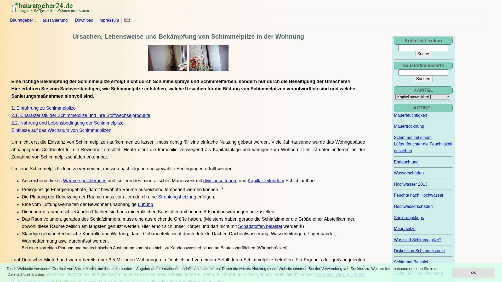 Ingenieurbüro Peter Rauch Baulexikon