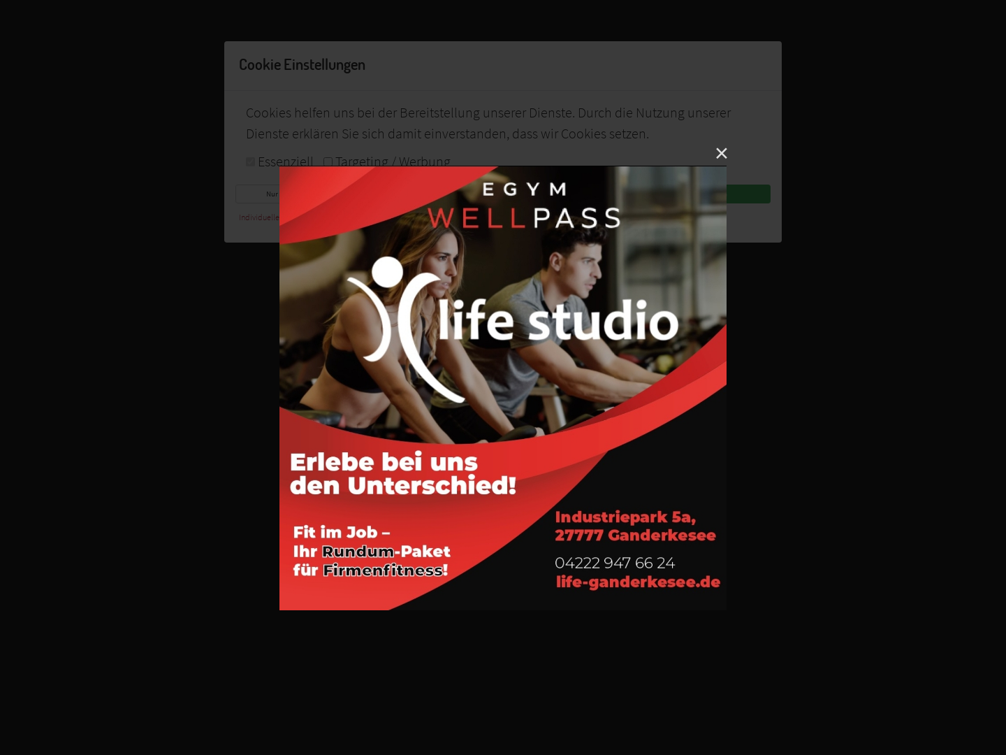 Life studio