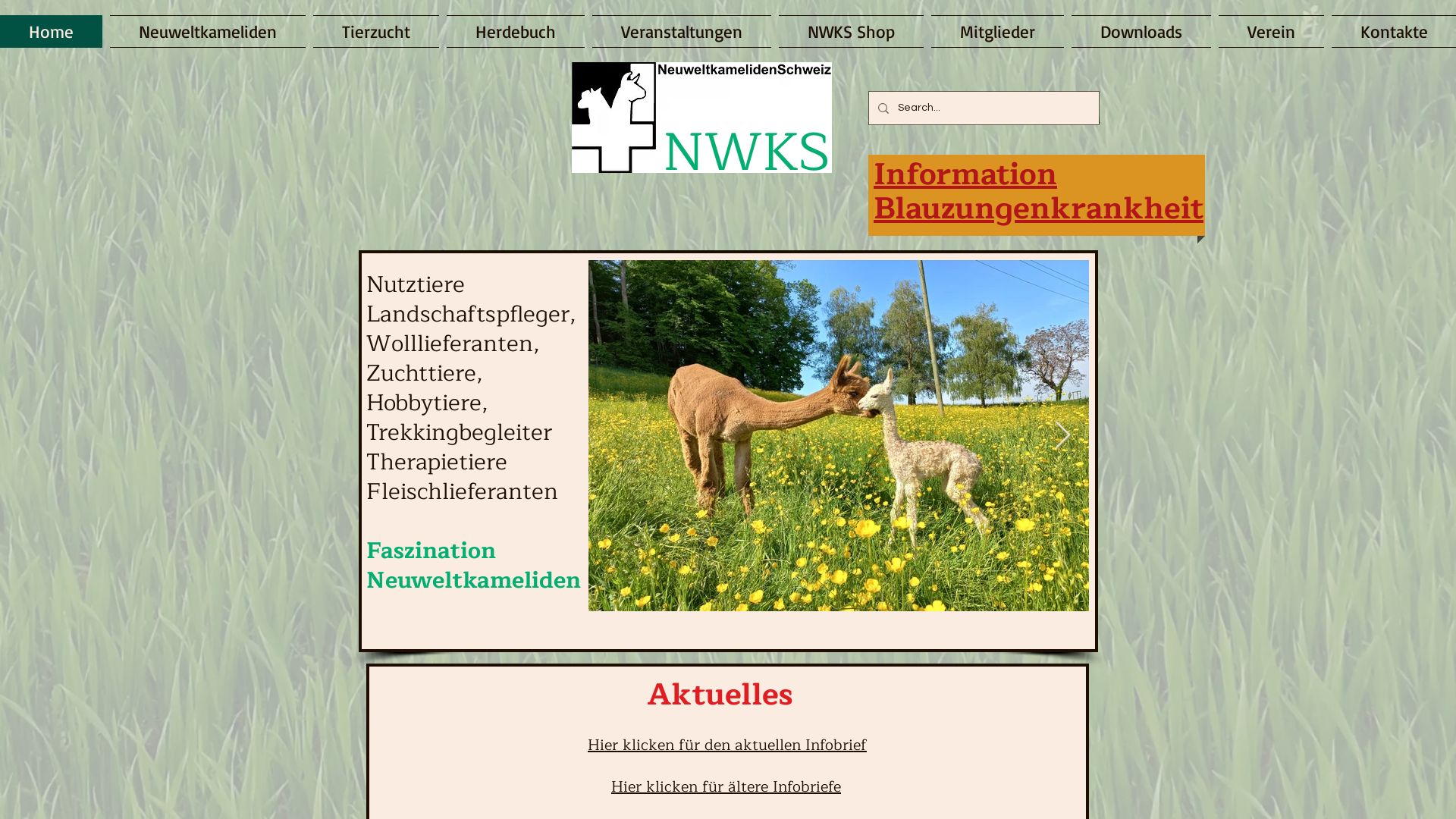 NeuweltkamelidenSchweiz